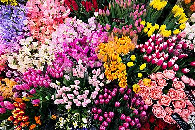 日式RPG《星之海》steam体验版上线 8月30日全平台发售