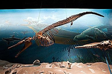 Switch Online会员经典游戏库将新增游戏：NES版《俄罗斯方块》