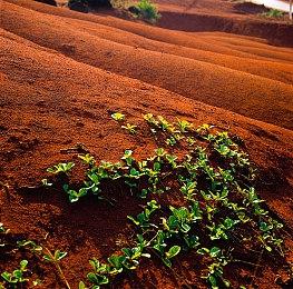 《前线任务2：重制版》NS实体版发售 经典战棋重制